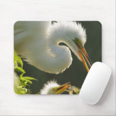 USA, Florida, St. Augustine, Alligator Farm Mousepad (Mit Mouse)
