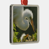 USA, Florida, St. Augustine, Alligator Farm Silbernes Ornament (Rechts)