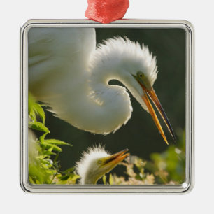 USA, Florida, St. Augustine, Alligator Farm Silbernes Ornament