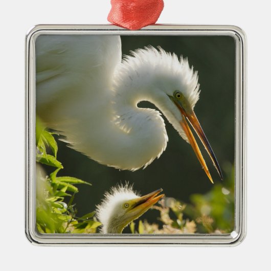 USA, Florida, St. Augustine, Alligator Farm Silbernes Ornament (Vorne)