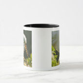 USA, Florida, St. Augustine, Alligator Farm Tasse (Zentrum)