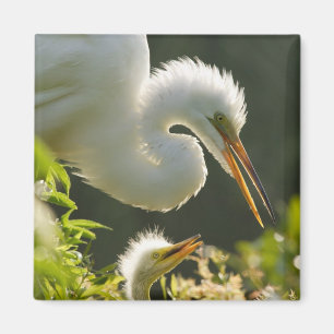 USA, Florida, St. Augustine, Alligatorfarm Magnet