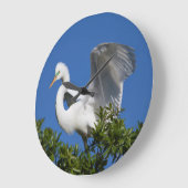 USA, Florida, St. Augustine, Egret Große Wanduhr (Winkel)