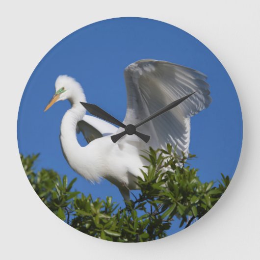 USA, Florida, St. Augustine, Egret Große Wanduhr (Vorderseite)