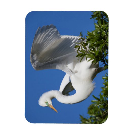 USA, Florida, St. Augustine, Egret Magnet (Vertikal)