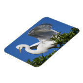 USA, Florida, St. Augustine, Egret Magnet (Linke Seite)