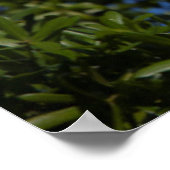 USA, Florida, St. Augustine, Egret Poster (Ecke)