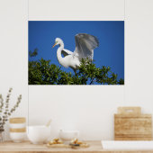 USA, Florida, St. Augustine, Egret Poster (Küche)