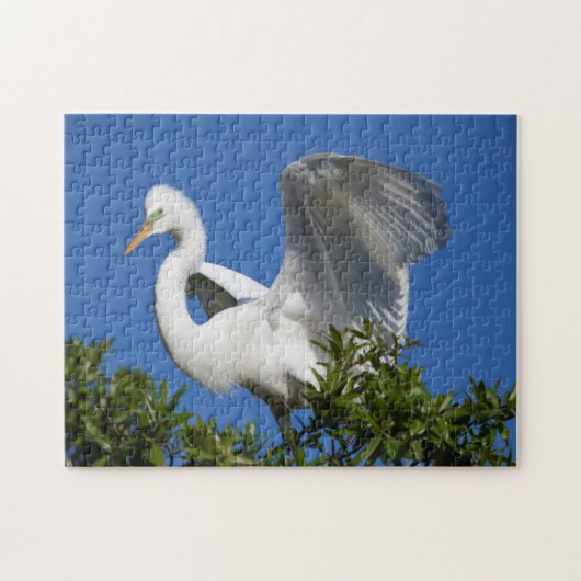 USA, Florida, St. Augustine, Egret Puzzle (Horizontal)