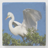 USA, Florida, St. Augustine, Egret Steinuntersetzer (Vorderseite)