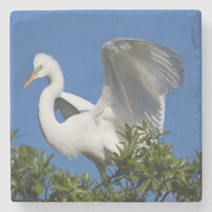 USA, Florida, St. Augustine, Egret Steinuntersetzer