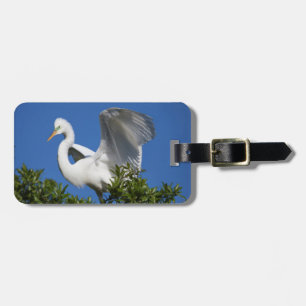 USA, Florida, St. Augustine, Silberreiher Gepäckanhänger