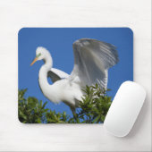 USA, Florida, St. Augustine, Silberreiher Mousepad (Mit Mouse)