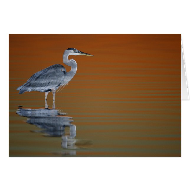 USA, Florida, St. Petersburg, Fort De Soto 2 (Vorderseite (Horizontal))