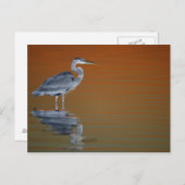 USA, Florida, St. Petersburg, Fort De Soto 2 Postkarte (Vorne/Hinten)