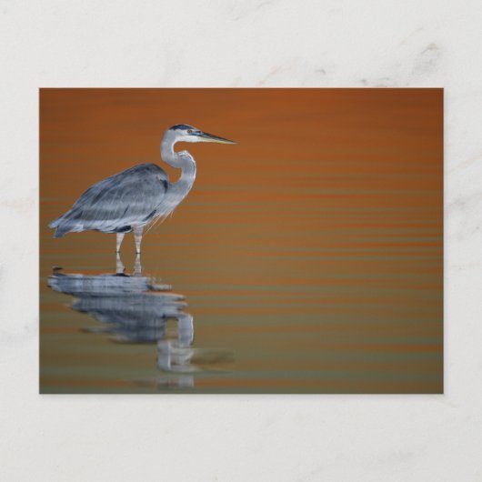 USA, Florida, St. Petersburg, Fort De Soto 2 Postkarte (Vorderseite)