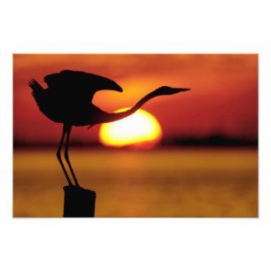 USA, Florida, St. Petersburg, Fort De Soto Fotodruck