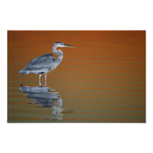 USA, Florida, St. Petersburg, Fort De Soto Fotodruck