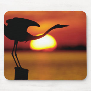 USA, Florida, St. Petersburg, Fort De Soto Mousepad