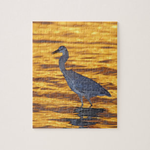 USA, Florida, St. Petersburg, Fort De Soto Park. Puzzle