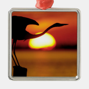 USA, Florida, St. Petersburg, Fort De Soto Silbernes Ornament