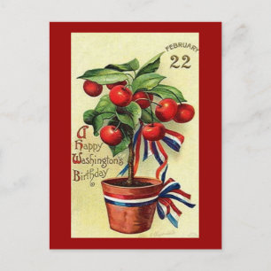 USA Geo Washingtons Geburtstag Postkarte