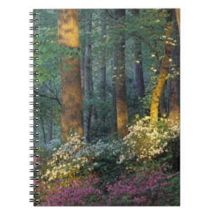 USA, Georgia, Callaway Gardens, Azaleenwald. Notizblock