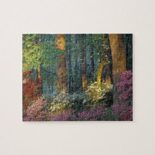 USA, Georgia, Callaway Gardens, Azaleenwald. Puzzle
