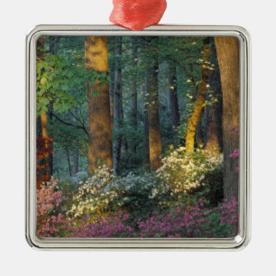 USA, Georgia, Callaway Gardens, Azaleenwald. Silbernes Ornament