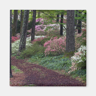 USA, Georgia, Callaway Gardens. Pfad Magnet