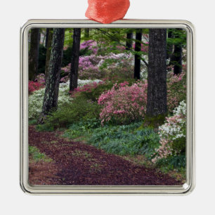 USA, Georgia, Callaway Gardens. Pfad Silbernes Ornament