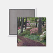 USA, Georgia, Callaway Gardens. Weg Magnet (Vorderseite/Rückseite)