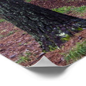 USA, Georgia, Callaway Gardens. Weg Poster (Ecke)