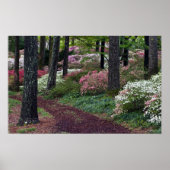 USA, Georgia, Callaway Gardens. Weg Poster (Vorne)