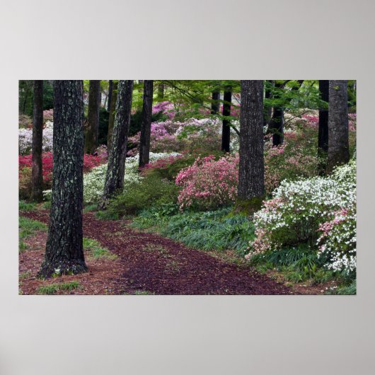 USA, Georgia, Callaway Gardens. Weg Poster (Vorne)
