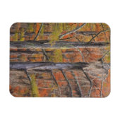 USA, Georgia, George Smith Staat Park, Cypress Magnet (Horizontal)