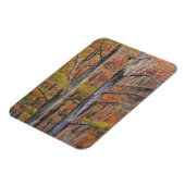 USA, Georgia, George Smith Staat Park, Cypress Magnet (Linke Seite)