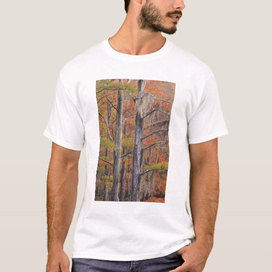 USA, Georgia, George Smith Staat Park, Cypress T-Shirt (Vorderseite)