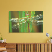 USA, Georgia. Green darner draquelly Leinwanddruck (Insitu (Wohnzimmer))