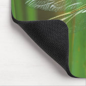 USA, Georgia. Green darner draquelly Mousepad (Ecke)