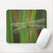 USA, Georgia. Green darner draquelly Mousepad (Mit Mouse)