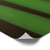 USA, Georgia. Green darner draquelly Poster (Ecke)