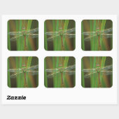 USA, Georgia. Green darner draquelly Quadratischer Aufkleber (Blatt)