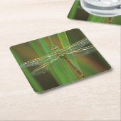 USA, Georgia. Green darner draquelly Rechteckiger Pappuntersetzer (angewinkelt)