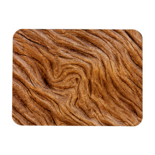 USA, Georgia, Jekyll Island, Abstrakt Magnet