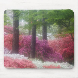 USA; Georgia; Pine Mountain. Azaleen bei Mousepad