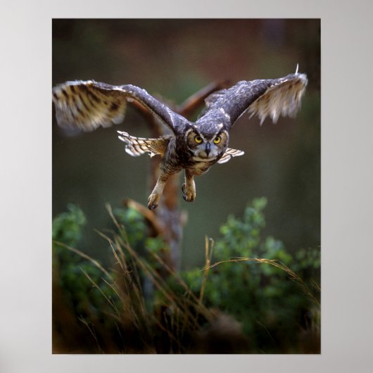 USA, Georgia, Pine Mountain, Callaway Gardens. Poster (Vorne)