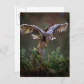 USA, Georgia, Pine Mountain, Callaway Gardens. Postkarte (Vorne/Hinten)