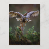 USA, Georgia, Pine Mountain, Callaway Gardens. Postkarte (Vorderseite)