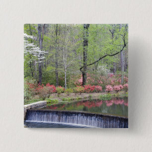 USA, Georgia, Pine Mountain. Ein kleiner Wasserfal Button